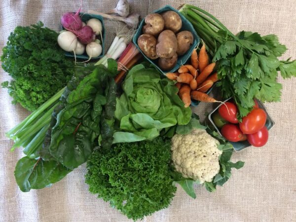 Summer CSA 2023 - 16 weeks