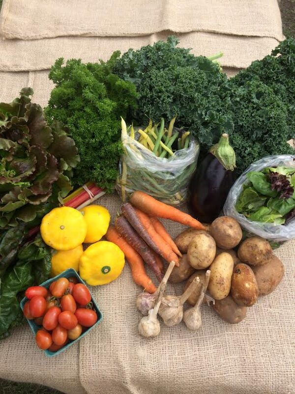 Summer CSA 2023 - 8 weeks